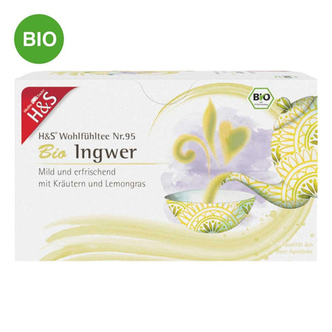 H&S Bio Ingwer-Filterbeutel (20x2 g)
