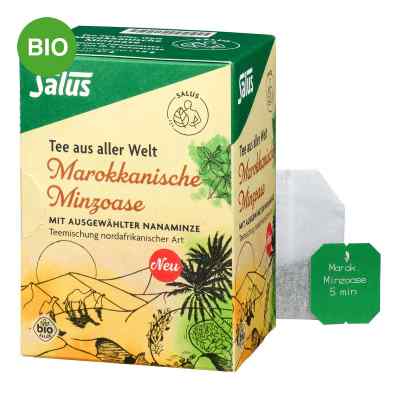 Salus Organic Moroccan Mint Oasis – herbal tea blend (15 tea bags)