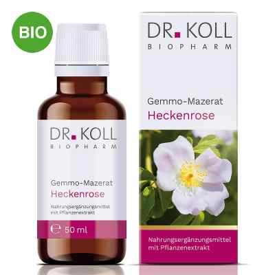 Dr. Koll Gemmo-Mazerat églantier gouttes (50 ml)