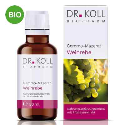 Dr. Koll Gemmo-Macérat vigne gouttes (50 ml)