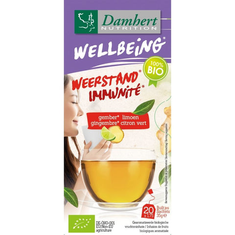 Damhert Wellbeing Thé Gingembre - Citron Vert Bio (20 pièces)