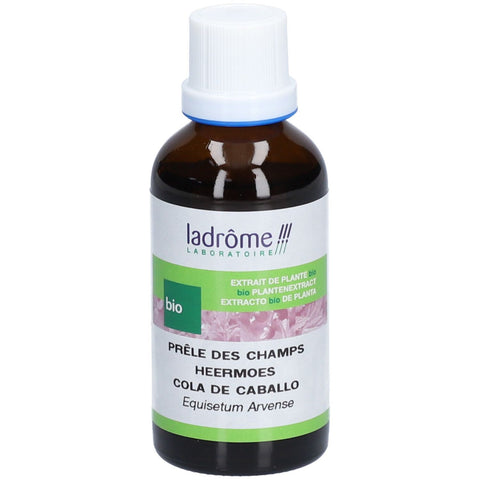 Ladrôme Field Horsetail Plant Extract (100 ml)