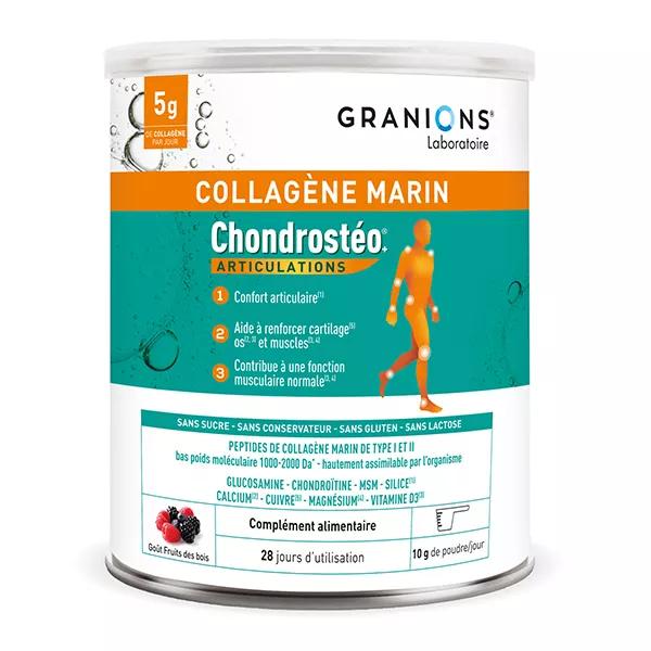 Chondrostéo+ Collagène Marin Confort Articulaire Goût Fruits des Bois Poudre 280g
