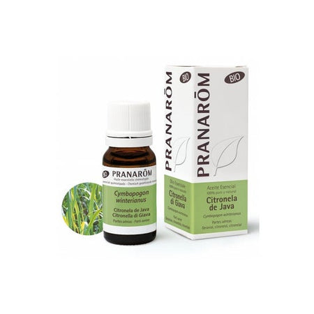 Pranarom Huile Essentielle Bio Citronnelle de Java 10 ml