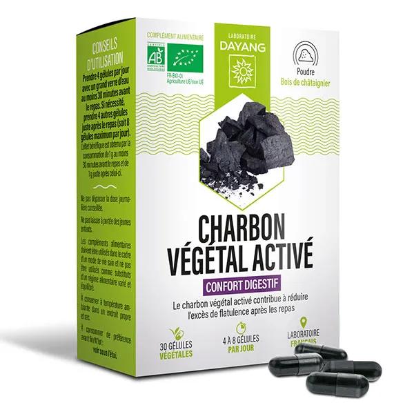 Dayang Charbon végétal activé BIO 30 gél