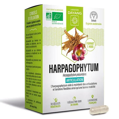 Dayang Harpagophytum Bio 30 Kapseln