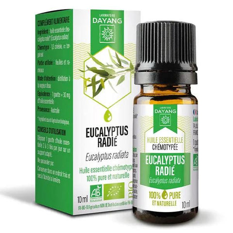 Dayang Bio-Eukalyptus-Radiata-Ätherisches Öl 10ml