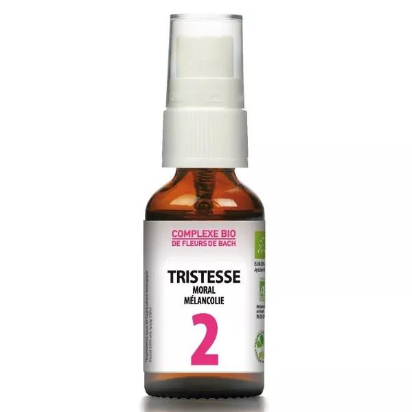 Dr Theiss Complexe Fleurs de Bach N°2 Tristesse 20ml