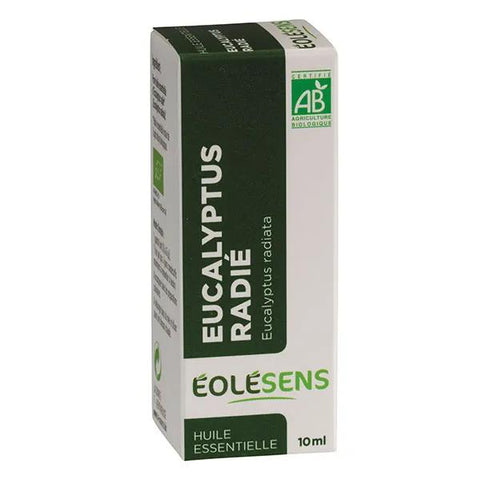Eolesens Ätherisches Öl Eukalyptus Radiata* 10 ml