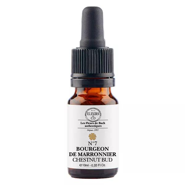 ELXIRS&CO - Unitaire BOURGEON DE MARRONNIER - 10ML