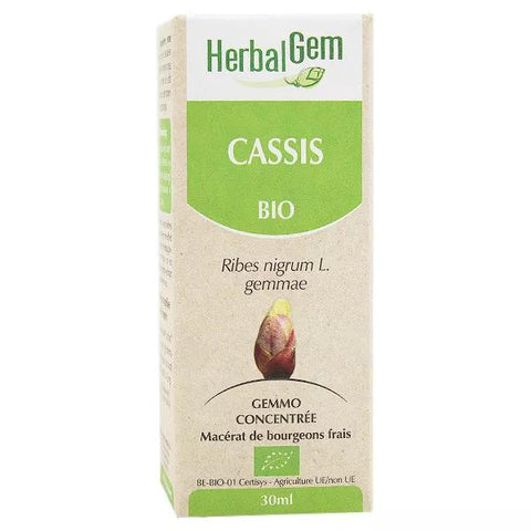 Herbalgem Bio-Knospenmazerat Schwarze Johannisbeere 30ml