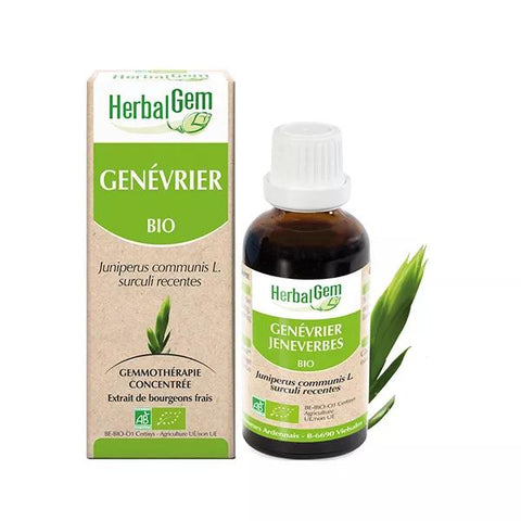 Herbalgem Konzentriertes Wacholderknospenmazerat Bio 30ml