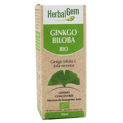 Herbalgem Konzentriertes Bio Ginkgo Biloba Mazerat 30ml