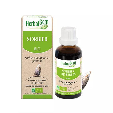 Herbalgem Konzentriertes Bio-Mazerat Vogelbeere 30ml