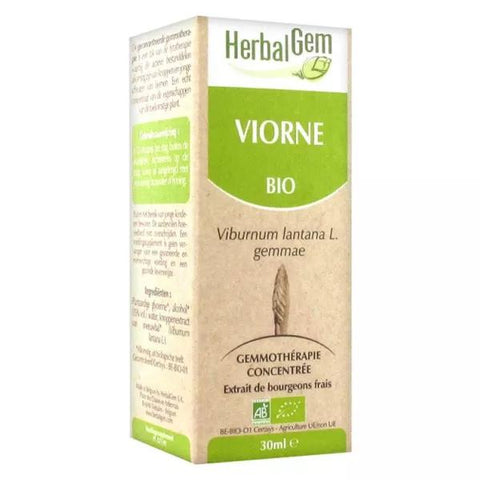 Herbalgem Konzentriertes Bio-Viburnum-Mazerat 30ml