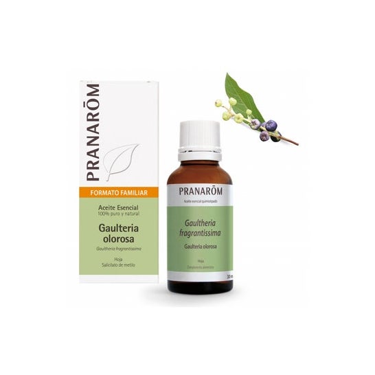 Pranarôm Huile essentielle de Gaulthérie odorante bio (30 ml)