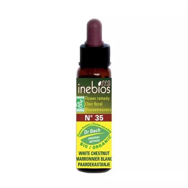 Inebios Fleur de Bach n°35 White Chestnut - Marronnier Blanc Bio 10ml