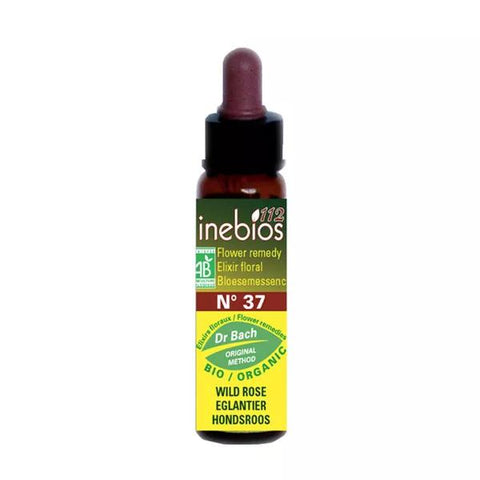 Inebios Bach Flower N°37 Wild Rose - Organic Rosehip 10ml