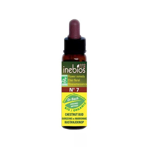 Inebios Bach Flower #7 Chestnut Bud - Organic Chestnut Bud 10ml