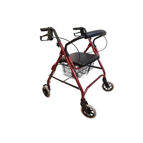 Prim Rollator Premium A500 (1 unité)