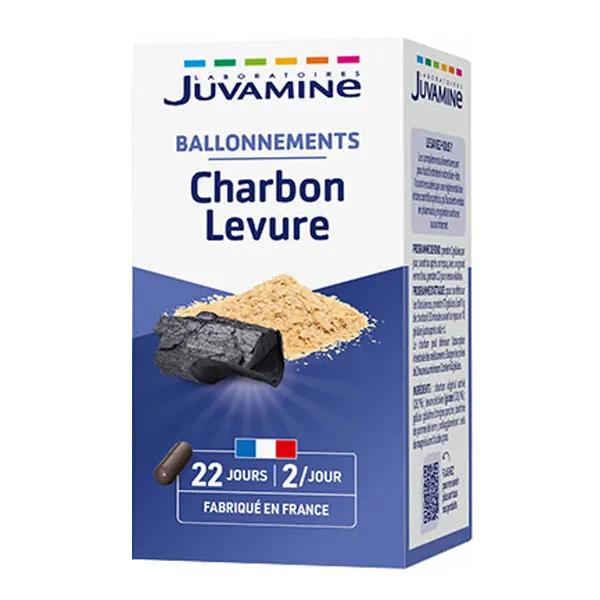 Juvamine Gaz Intestinaux Charbon Levure 45 gélules