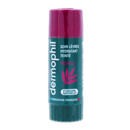 Dermophil Baume à lèvres teinté prune hydratant (4 g)