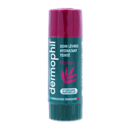 Dermophil Baume à lèvres teinté prune hydratant (4 g)