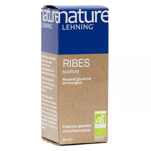 Lehning Nature Ribes Nigrum Glycerinmazerat Bio 60ml