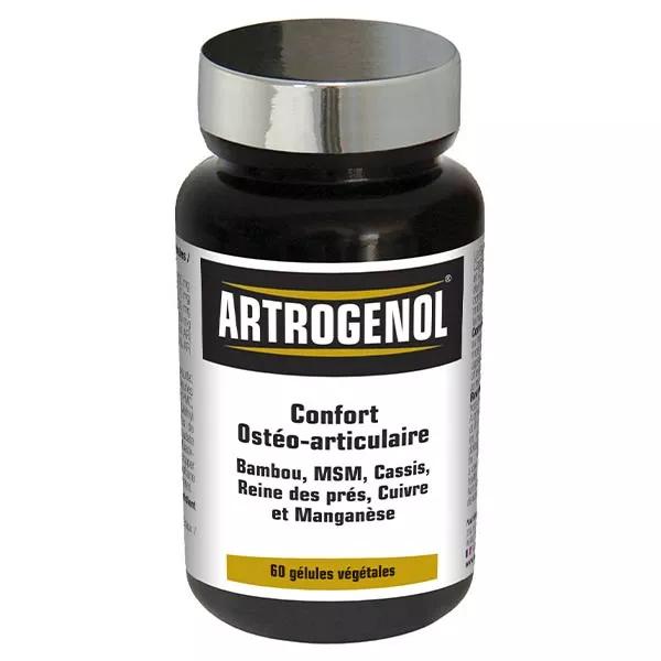 NutriExpert Artrogenol 60 gélules