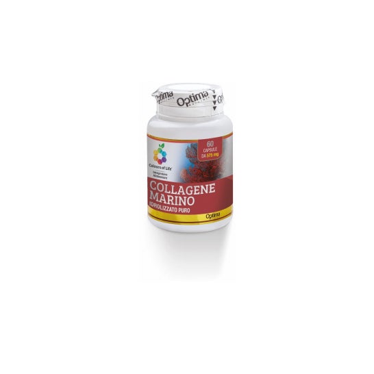 Colours of Life Collagène marin hydrolysé 57 mg (60 gélules)