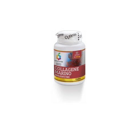 Colours of Life Collagène marin hydrolysé 57 mg (60 gélules)