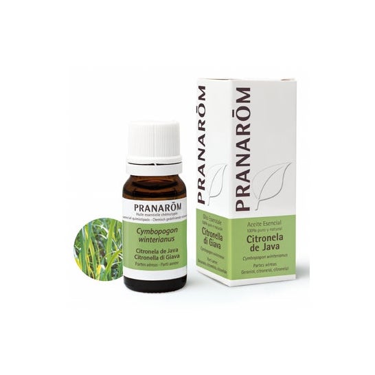 Pranarôm Huile essentielle Citronnelle de Java (10 ml)