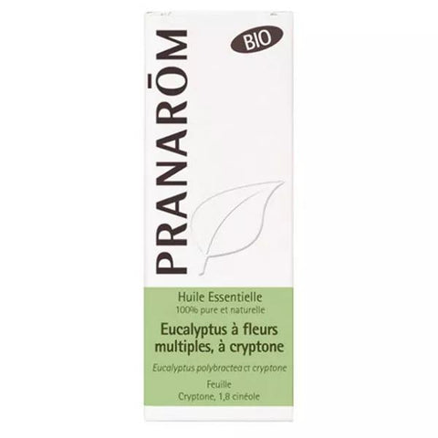 Pranarom Bio Ätherisches Öl Eukalyptus Cryptone 10ml