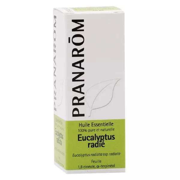 Pranarom Huile essentielle Eucalyptus radié 10 ml
