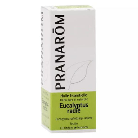 Pranarôm Eucalyptus Radiata Ätherisches Öl (10 ml)