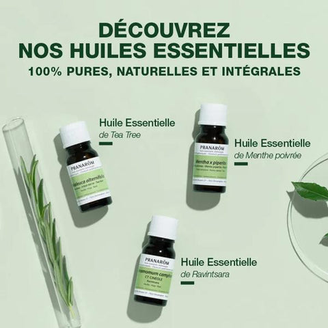 Pranarom Huile Essentielle Menthe Poivrée Bio 30 ml