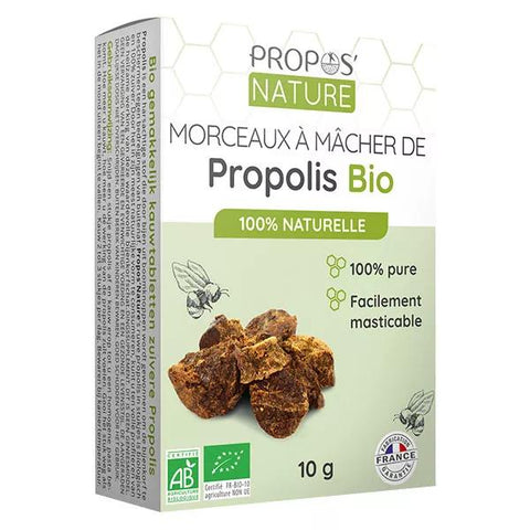 Propos' Nature Apitherapie Propolis Pur zum Kauen Bio 10g