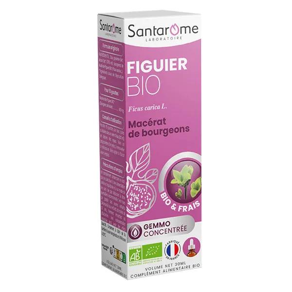 Santarome Bio - Bourgeon Figuier Bio - Gémmothérapie - Flacon de 30ml