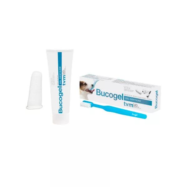 TVM Bucogel Gel Dentaire 50ml