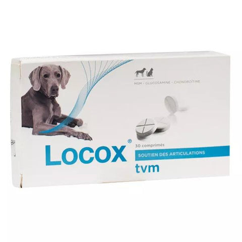TVM Locox 30 tablets