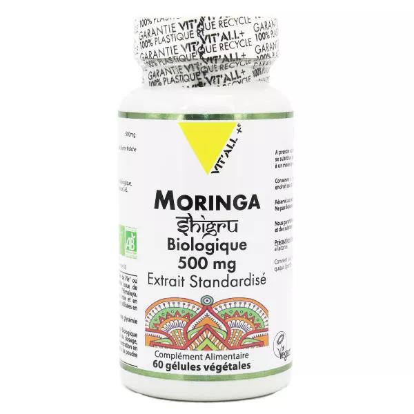 Vit'all+ Moringa 500mg Bio 60 gélules végétales