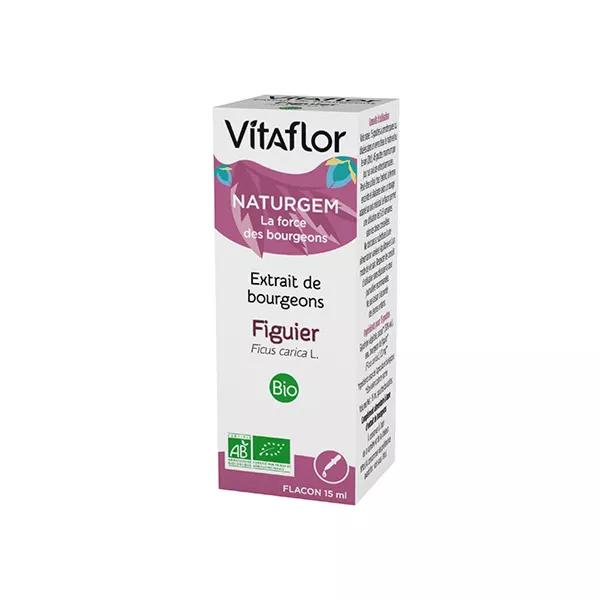 Vitaflor Extrait de Bourgeons Bio Figuier 15ml