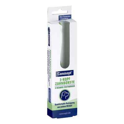 Canosept brosse à dents 3 têtes pour chiens (1 pièce)