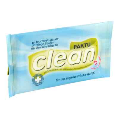 Faktuclean Tücher (5 Stück)