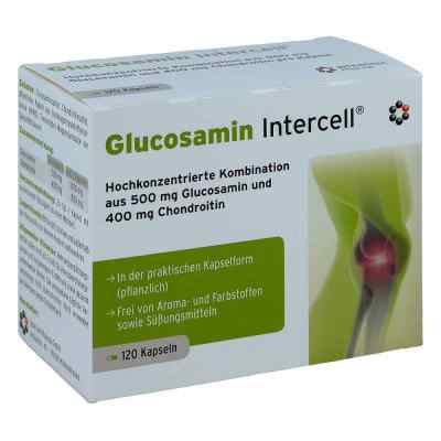 Intercell Glucosamin gélules (120 gélules)