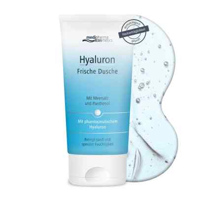 Dr. Theiss Naturwaren GmbH Hyaluron douche fraîcheur (150 ml)