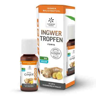 Hager Pharma Ingwer Ginjer forte Tropfen (20 ml)