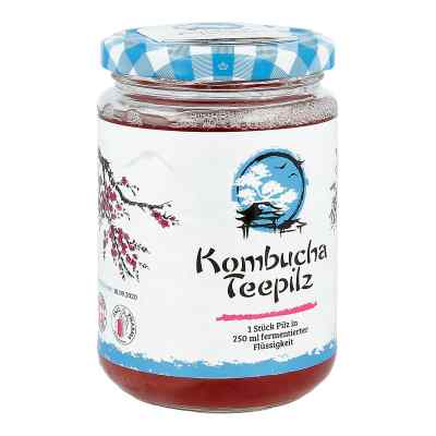 Hecht-Pharma GmbH Kombucha champignon de thé (1 pièce)