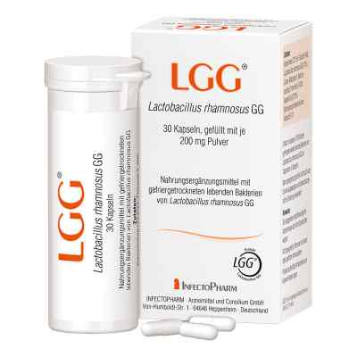 INFECTOPHARM Lgg gélules (60 pièces)