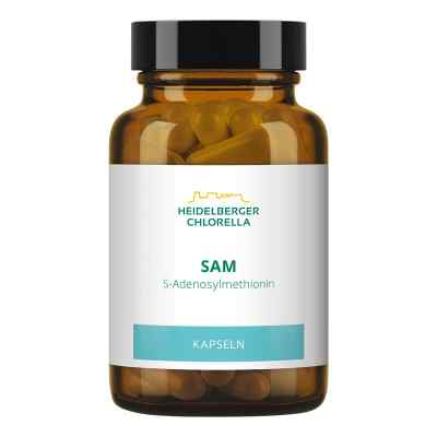 Sam S-adénosylméthionine gélules (60 gélules)